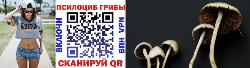 Галлюциногенные грибы прущие грибы  Купить где  Красный Холм 