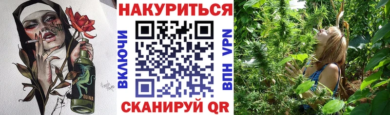 Конопля тримм  Купить закладки  Красный Холм 